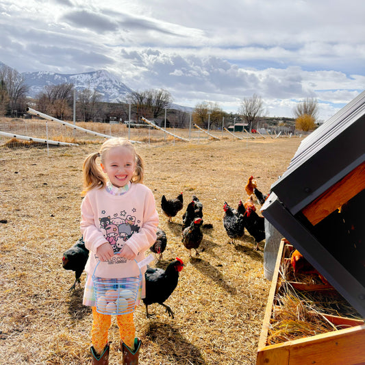 One Dozen Soy free, Organic Pastured Eggs
