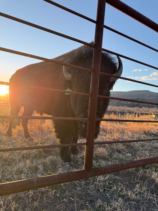 COMING SOON- Bison Cuts and grinds